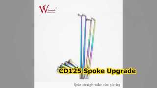 CD125 Set raggi moto in acciaio ritorto